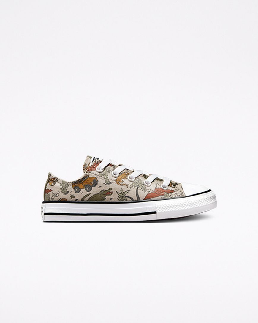 Zapatillas Bajas Converse Chuck Taylor All Star Desert Explorer Niña Beige | PE 750L42